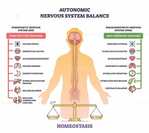 ����� ����� ������ ��������� � ���� ����� ��������� ���� �� ����� ����